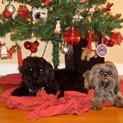 Elaine Moecker's photo