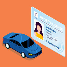 Drivers Licence Translation