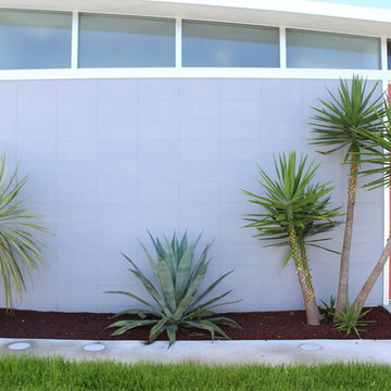 PALMS22