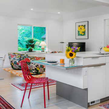 Modern modes in an eclectic Brookline, MA abode
