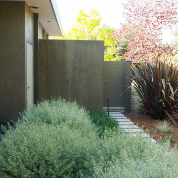 Layered planting bed with drought-tolerant shrubs
