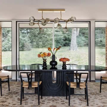 Midcentury Modern Renovation
