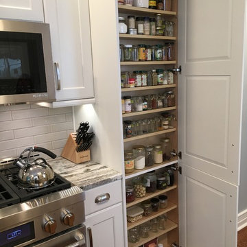 100 Year Old Chicago Farm House remodel