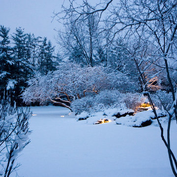 Winter Wonderland Lighting