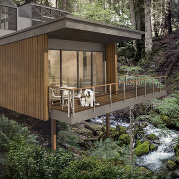 Treehouse ADU