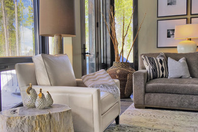 Inspiration for a transitional living room remodel in Denver