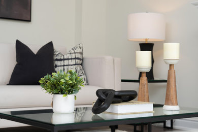 Inspiration for a contemporary home design remodel in Toronto