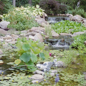 Ponds and Streams