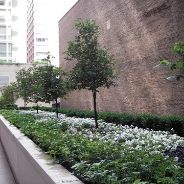 Urban Rooftop Gardens Chicago