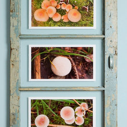 Home Decor - Paintings