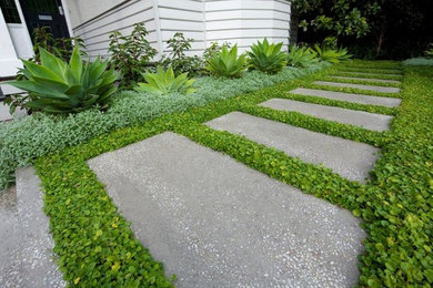 Design ideas for a garden in Melbourne.