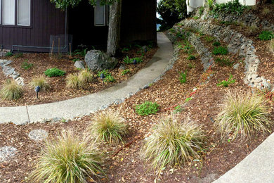 Photo of a garden in San Francisco.