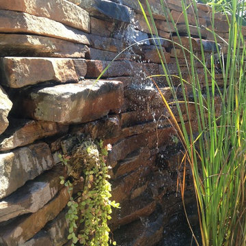 Piedmont Modernist Garden