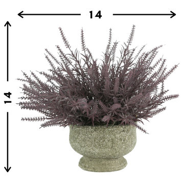 Purple astilbe in a gray pot