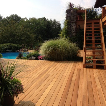 A Manlius Deck