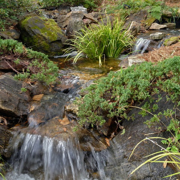 Water Features