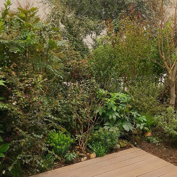 un jardin pour se cacher