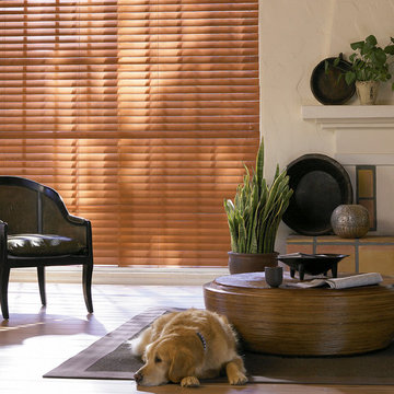 Hunter Douglas Eclectic Window Treatments and Draperies