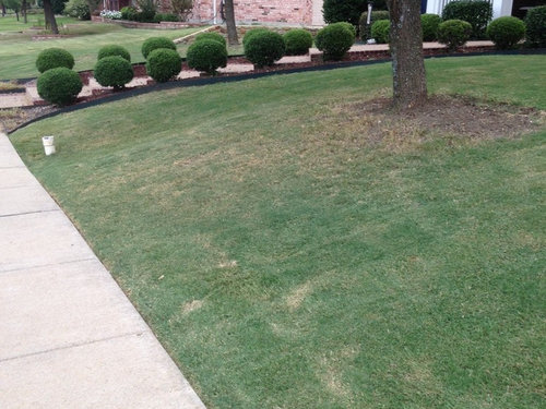 Lawn Leveling Grading What To Do, Fire Pit On Grass Reddit