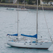Cindy Smith's photo