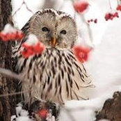 Foto von Sandra Bales