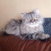 Debbie Jackson-Mott's photo
