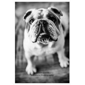 Priscilla G's photo