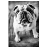 Priscilla G's photo