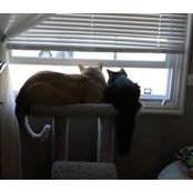 Mary Hull's photo