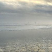 Sonya Miller's photo