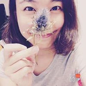 王月照's photo