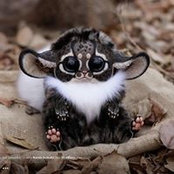 Debbie Lorimer's photo
