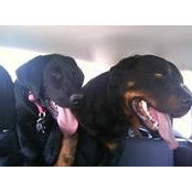 Nydia Mesa's photo