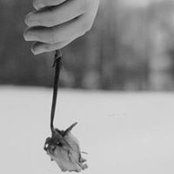 Rose Donnelly's photo