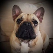 Steven Rush's photo