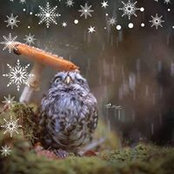 Foto von Gaia PoLe