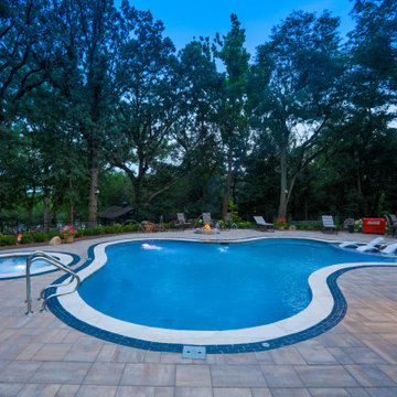 Oswego, IL Freeform Pool and Hot Tub