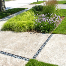 midmod landscaping