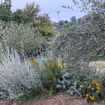 GIARDINO di design naturalistico