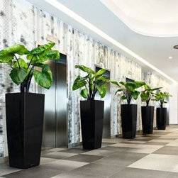 Cubico Alto LECHUZA - Indoor Pots And Planters