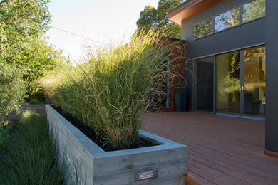 Design ideas for a large modern backyard partial sun garden for summer in San Francisco with a fire feature and gravel.