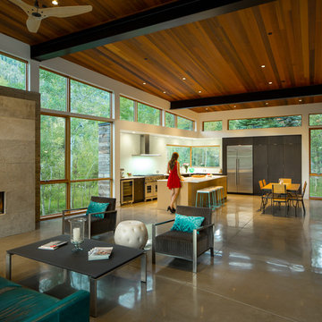 Contemporary Residence