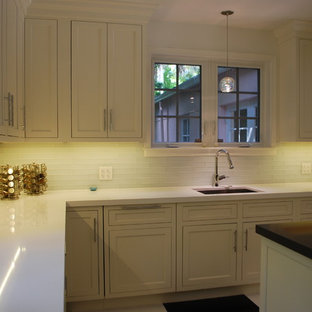 Paintable Kitchen Cabinets Houzz