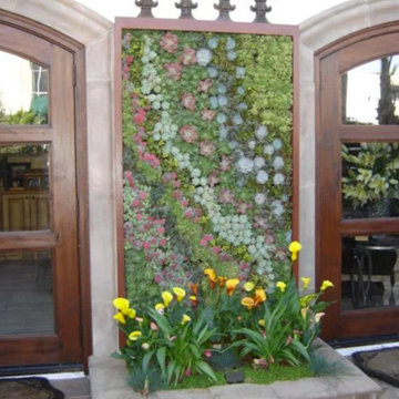 Vertical Wall