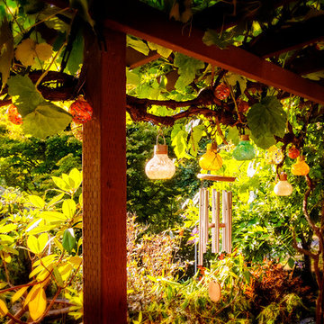 Solar Glass Lanterns for Indoor/Outdoor