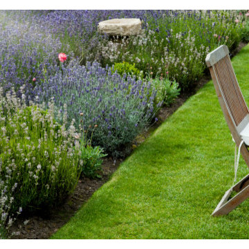 Landscape Gallery