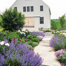 driveway/front yard landscaping