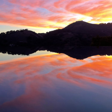 Morgan Hill Infinity Pool & Spa