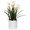 Vickerman 165" Artificial White Daffodil in Ceramic Pot