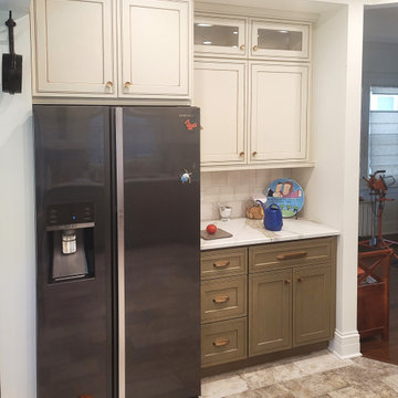 Kitchen Remodel - Ainslie St. Chicago